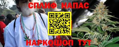 сатива Заводоуковск