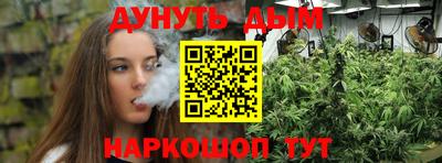 сатива Заводоуковск