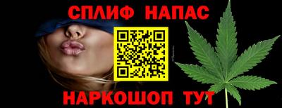 сатива Заводоуковск