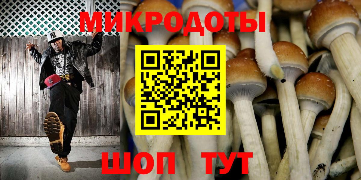 Галлюциногенные грибы прущие грибы Михайловск