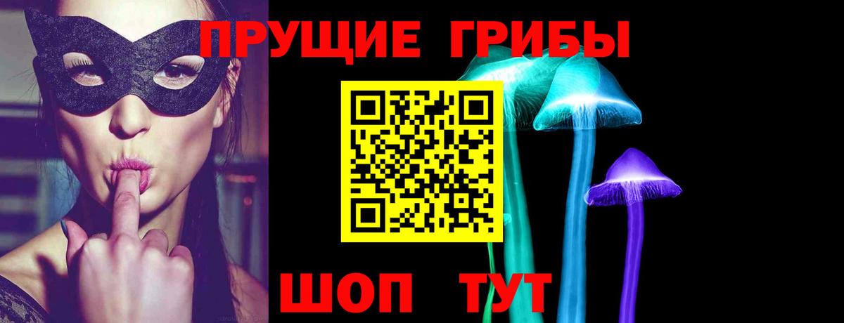 Михайловск  Псилоцибиновые грибы MAGIC MUSHROOMS  Вход с VPN 
